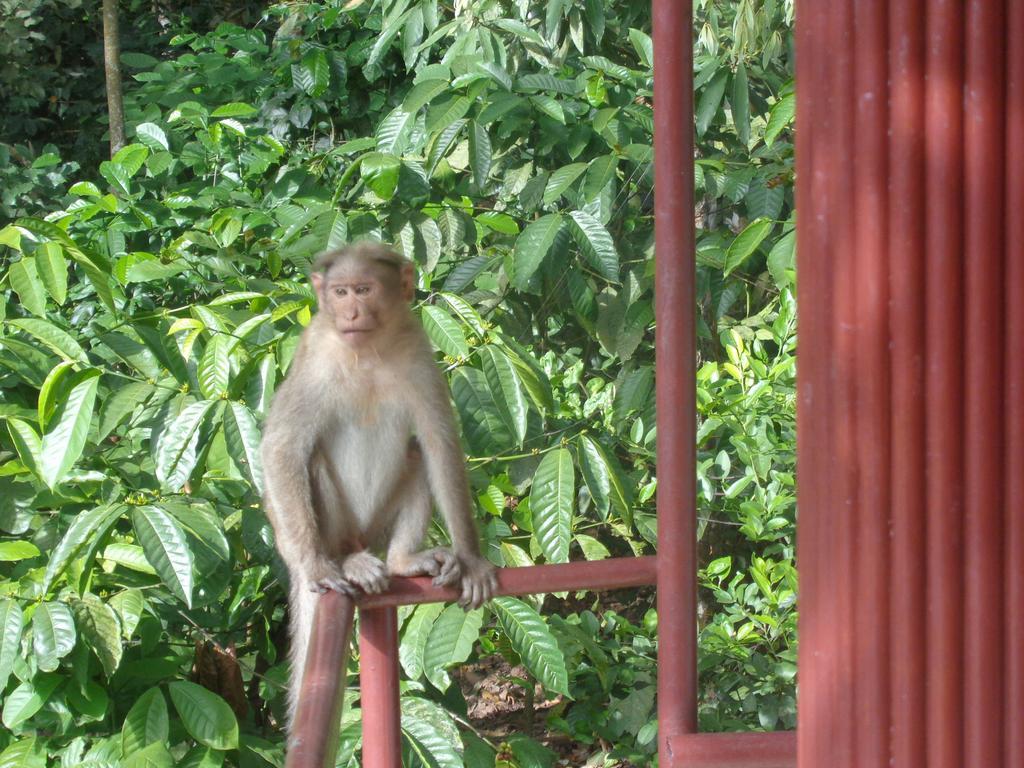 Jungleparadiso Homestay Thekkady Ngoại thất bức ảnh