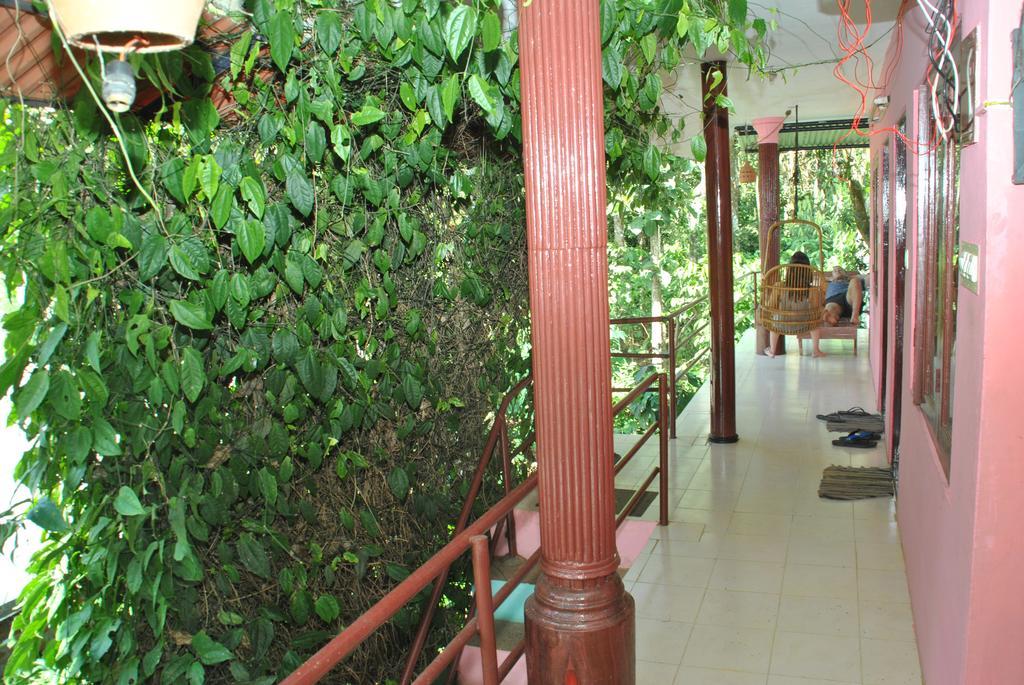 Jungleparadiso Homestay Thekkady Ngoại thất bức ảnh