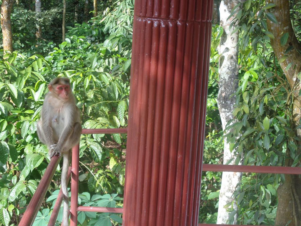 Jungleparadiso Homestay Thekkady Ngoại thất bức ảnh