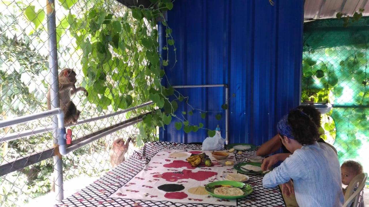 Jungleparadiso Homestay Thekkady Ngoại thất bức ảnh
